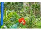 Palmwoods QLD 4555