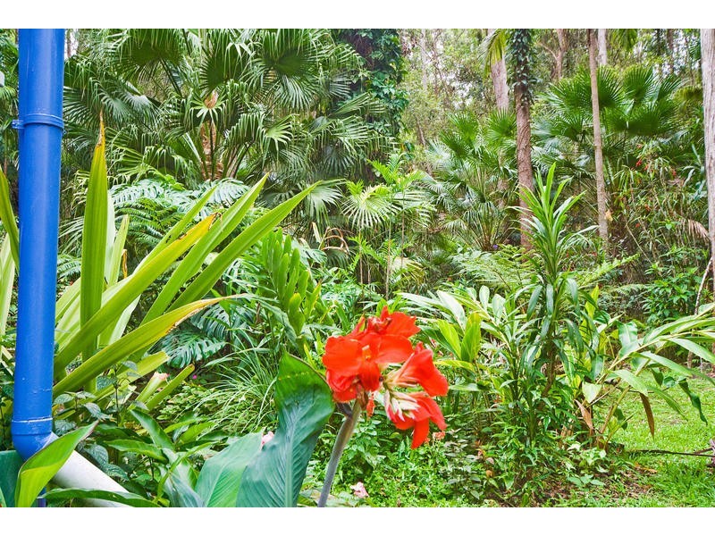 Palmwoods QLD 4555