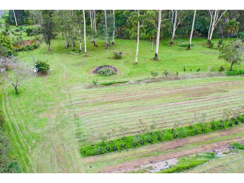 Palmwoods QLD 4555