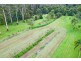Palmwoods QLD 4555