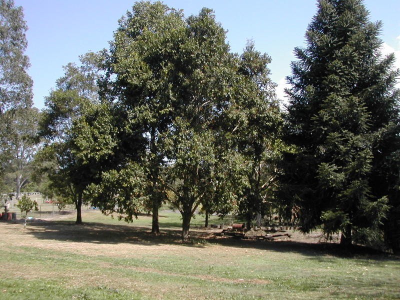 Glenview QLD 4553