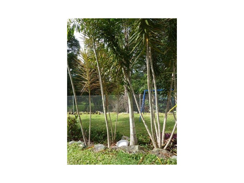5 Rosella Place, Nambour QLD 4560