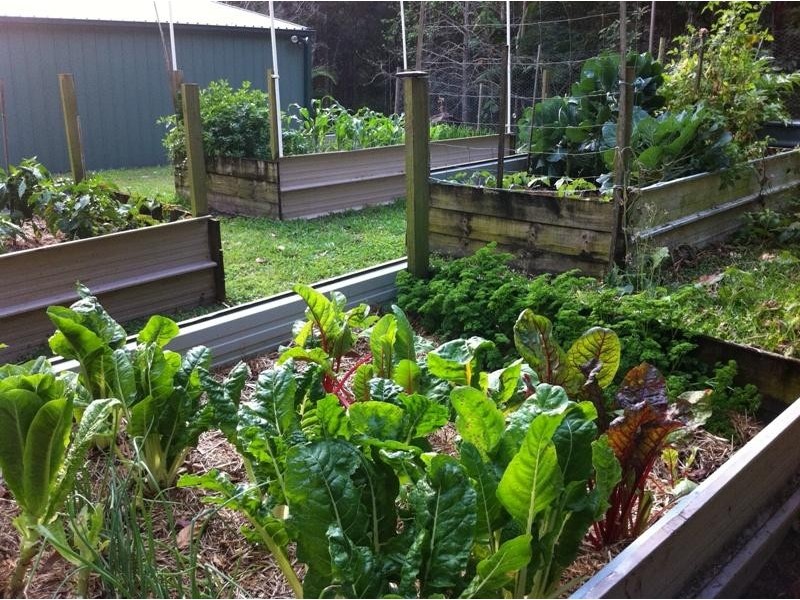 38 Evans Grove Road, Glenview QLD 4553