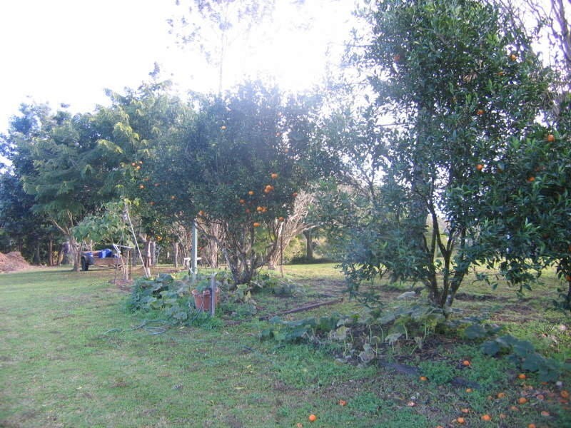 Glenview QLD 4553