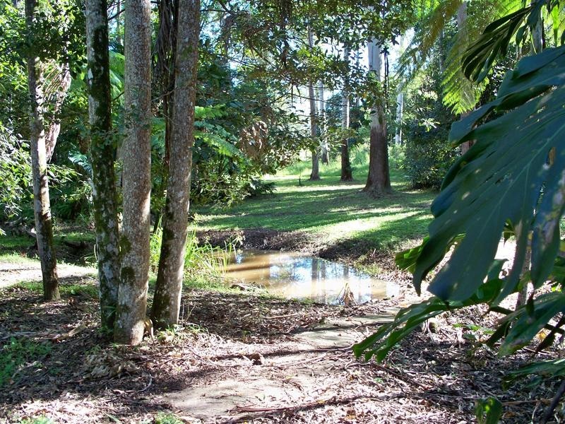 56 De Zen Road, Palmview QLD 4553