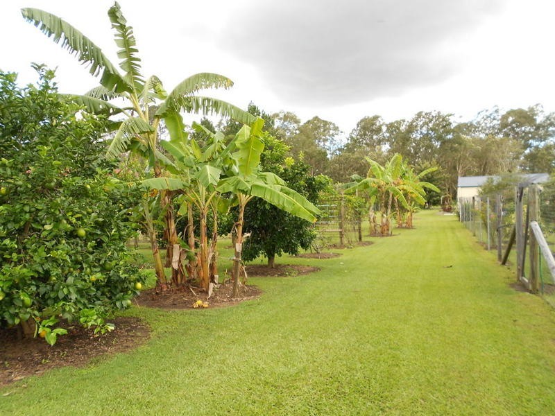 127 Mooloolah Meadows Drive, Mooloolah Valley QLD 4553