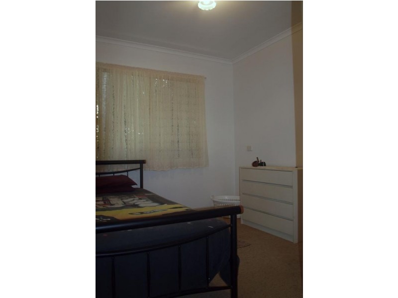 60 Paget Street, Mooloolah Valley QLD 4553