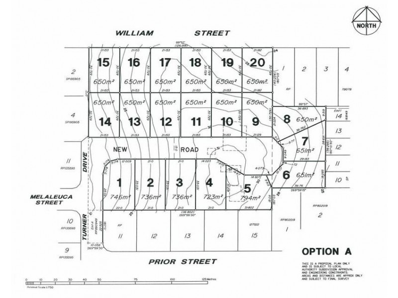 26 William Street, Moffat Beach QLD 4551