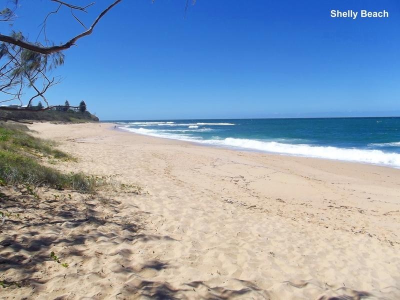11 Albert Street, Shelly Beach QLD 4551