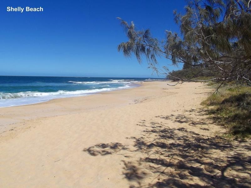 11 Albert Street, Shelly Beach QLD 4551