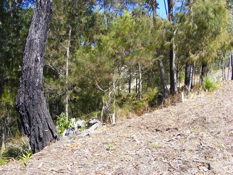 Little Mountain QLD 4551