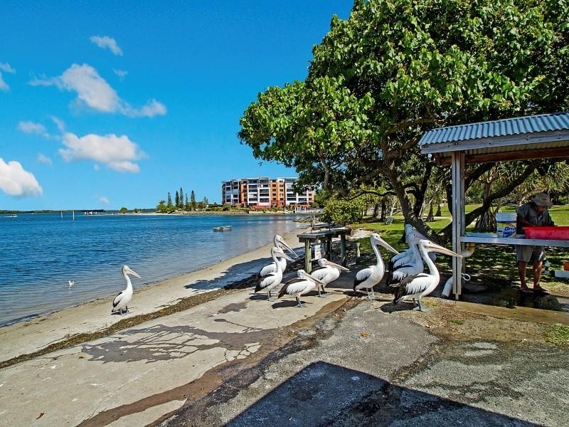 127 Esplanade, Golden Beach QLD 4551