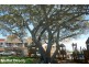 13 Buccleugh Street, Moffat Beach QLD 4551