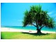 Kings Beach QLD 4551