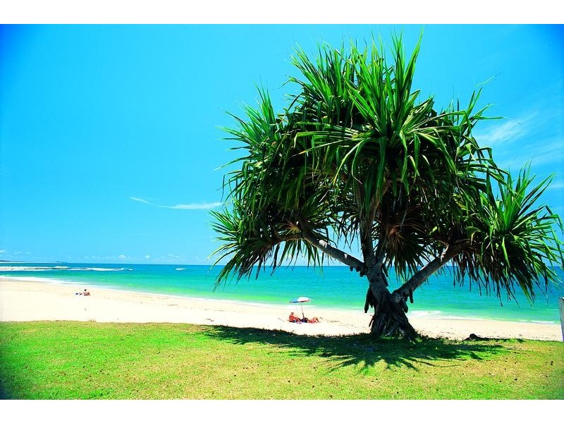 Kings Beach QLD 4551