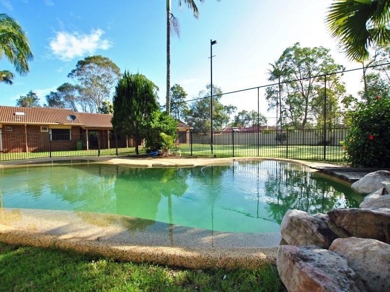 16 Casuarina Drive, Little Mountain QLD 4551