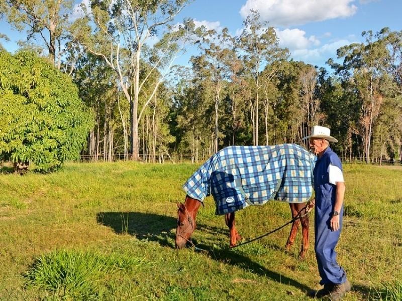 57 Coonowrin Road, Glass House Mountains QLD 4518