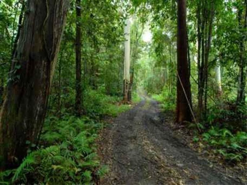 Palmview QLD 4553