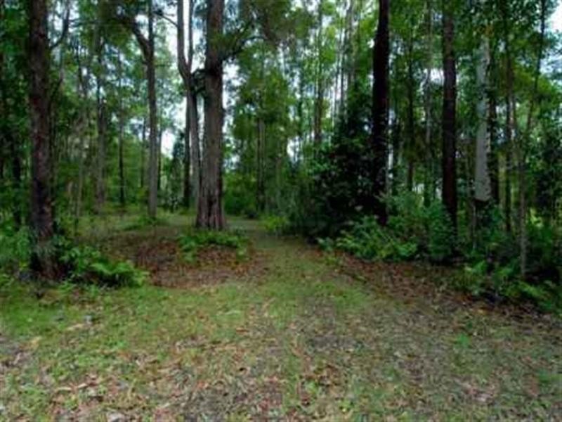 Palmview QLD 4553