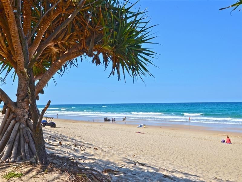51 Dicky Beach Close, Dicky Beach QLD 4551