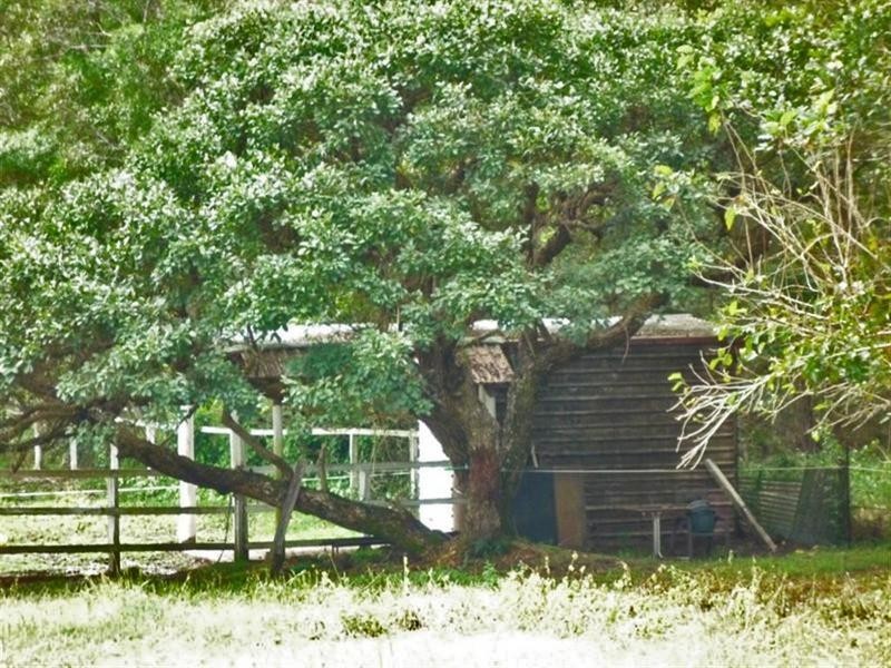 Landsborough QLD 4550