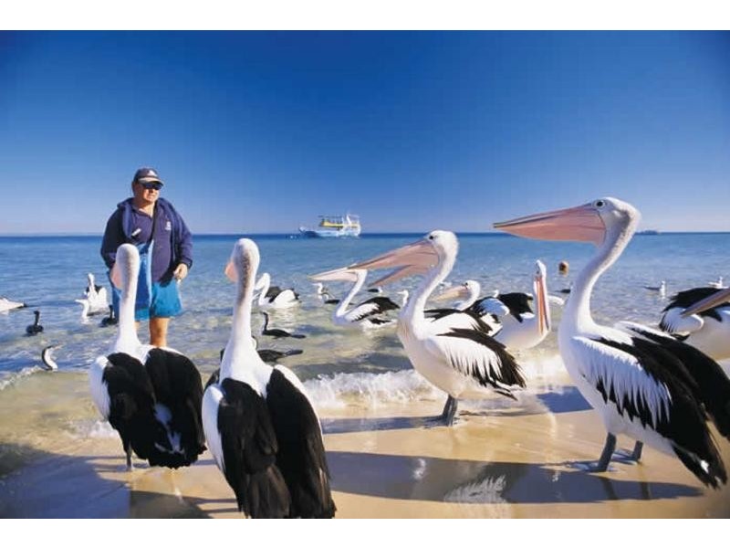 17/ 49 Landsborough Parade, Golden Beach QLD 4551