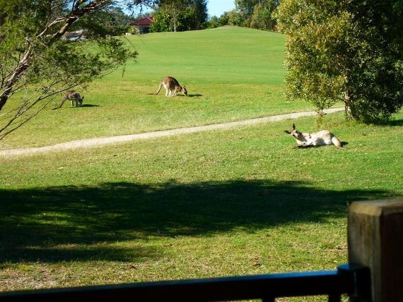 51 Mahogany Drive, Pelican Waters QLD 4551