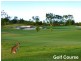 3 Millennium Circuit, Pelican Waters QLD 4551