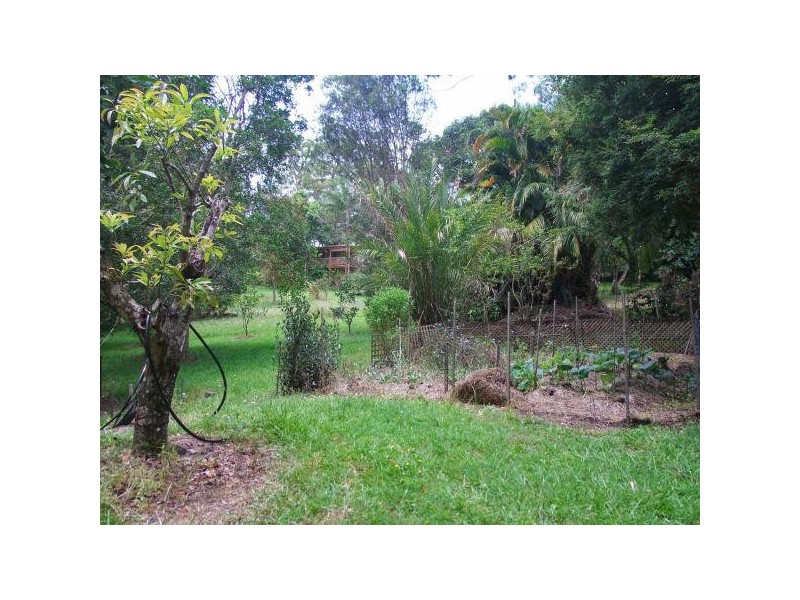 Mooloolah Valley QLD 4553