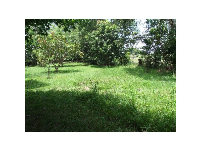 Mooloolah Valley QLD 4553