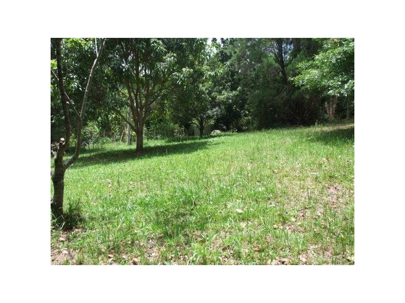 Mooloolah Valley QLD 4553