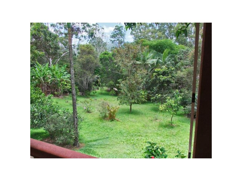 Mooloolah Valley QLD 4553