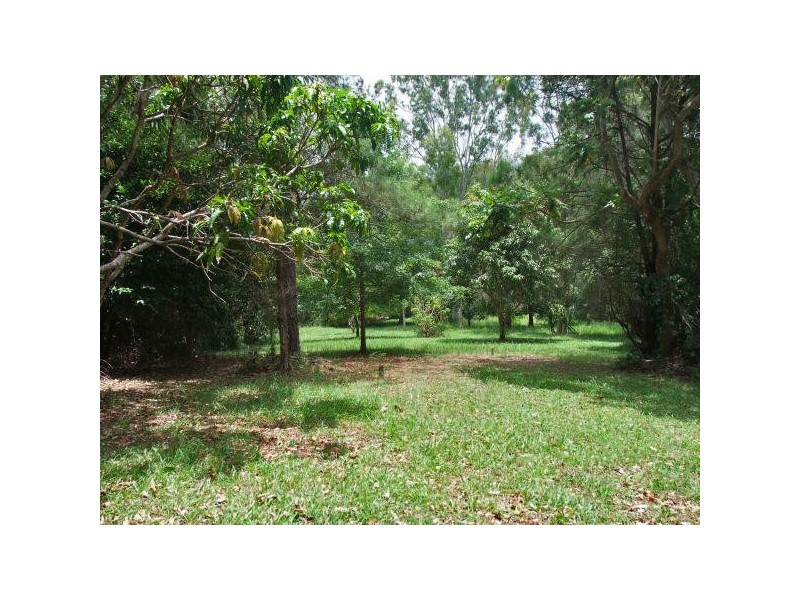 Mooloolah Valley QLD 4553