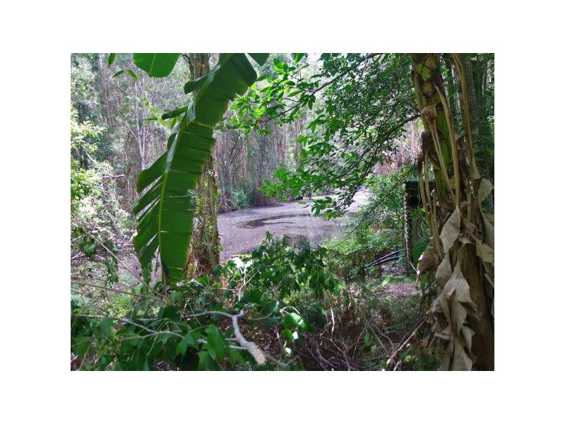 Mooloolah Valley QLD 4553