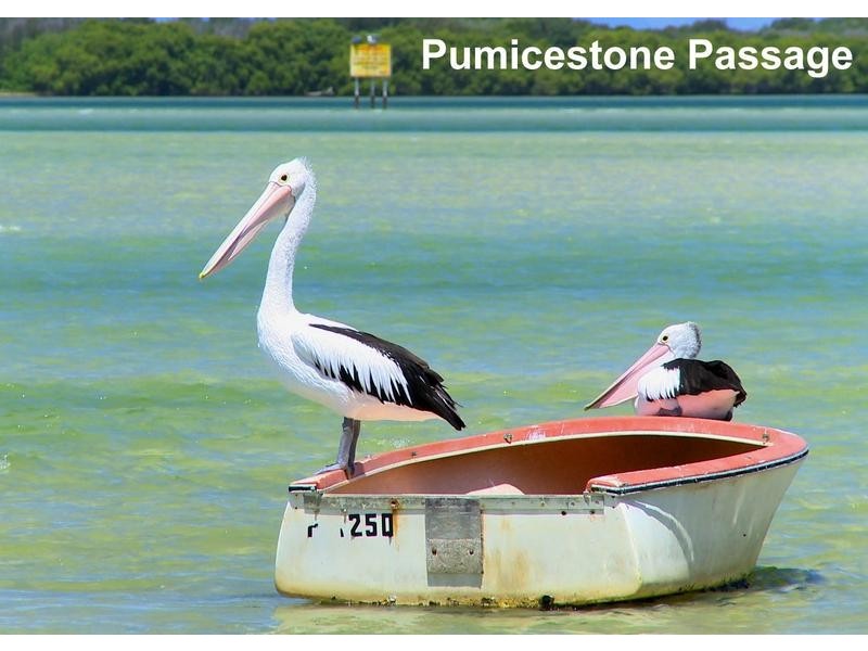 12 Palmer Avenue, Golden Beach QLD 4551