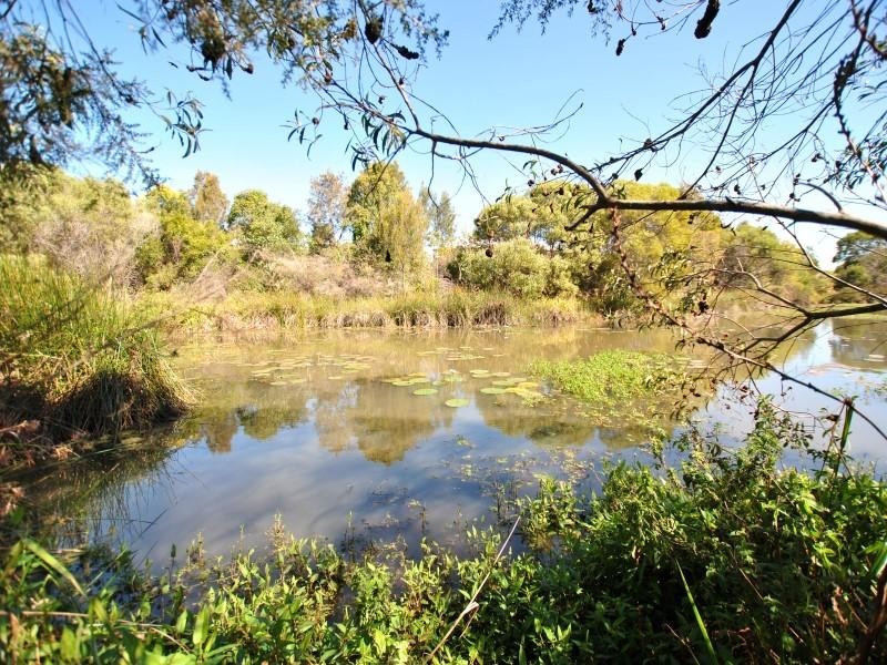 14 Park Hollow Mews, Little Mountain QLD 4551