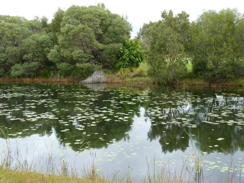 Pelican Waters QLD 4551