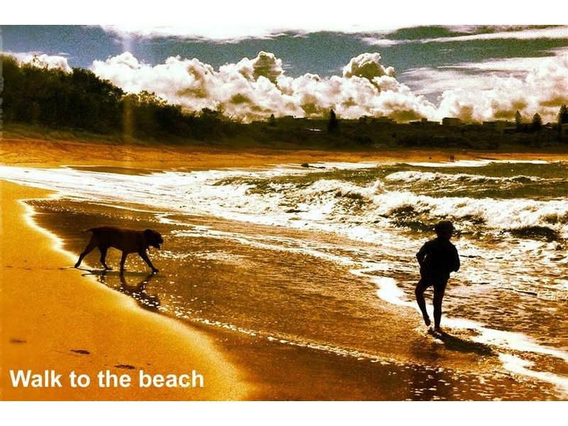 11 Saffron Drive, Currimundi QLD 4551