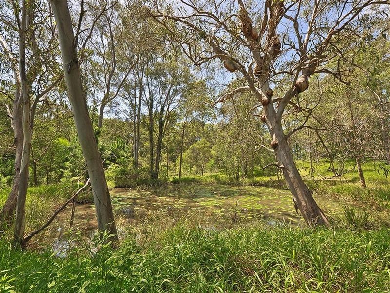 Little Mountain QLD 4551