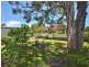 16 Trundle Street, Dicky Beach QLD 4551