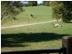 Pelican Waters QLD 4551