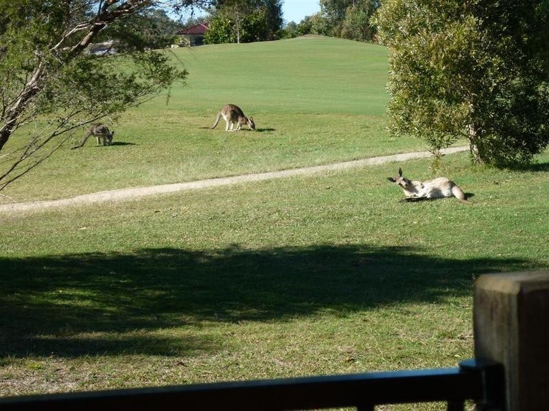 Pelican Waters QLD 4551