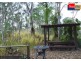 891 Torbanlea Pialba Road, Takura QLD 4655
