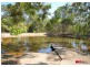 Sunshine Acres QLD 4655