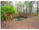 Sunshine Acres QLD 4655
