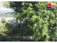 43 Parview Dr, Craignish QLD 4655