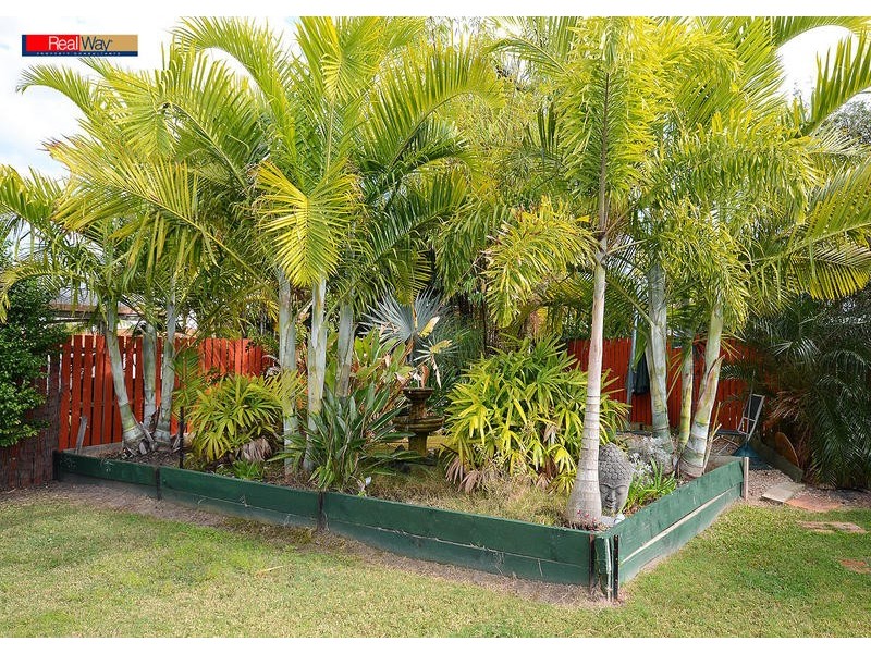 6 Kookaburra Drive, Eli Waters QLD 4655