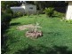 318 Boat Harbour Dr, Scarness QLD 4655