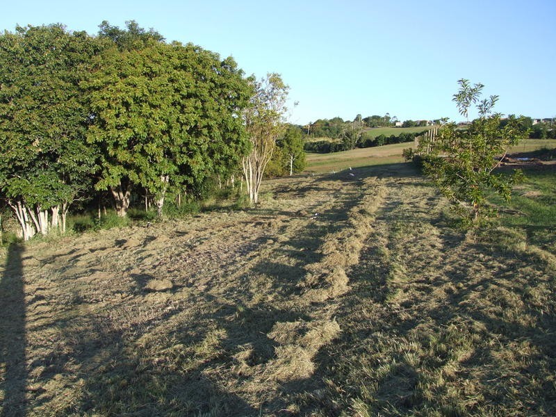 6 Jasmine Ct, Dundowran Beach QLD 4655