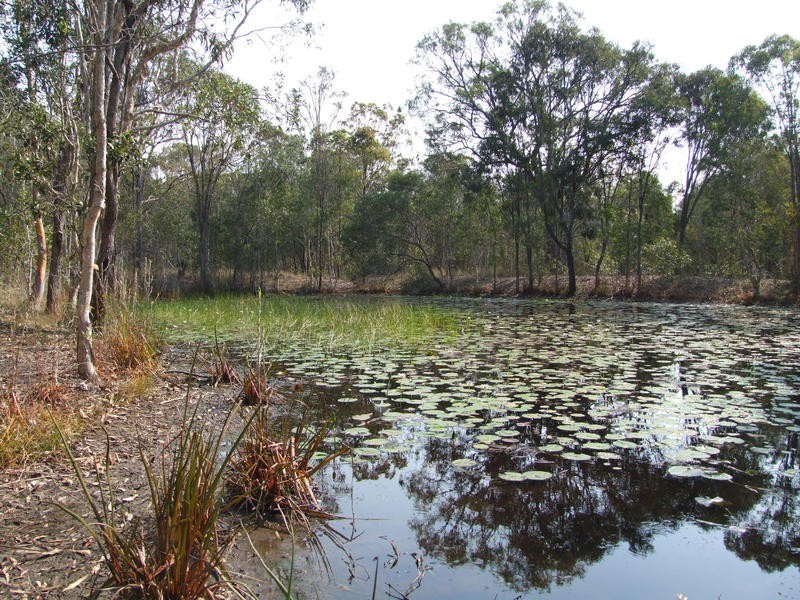 105 Condor Dr, Sunshine Acres QLD 4655